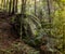 Big stone in the forest at the place of death of fighter of Ukrainian Insurgent Army UPA with inscribed years of life 1898-1949,