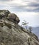 Big stone head in the rocks of Dovbush in Ukrainian Carpathian