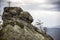 Big stone head in the rocks of Dovbush in Ukrainian Carpathian