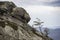 Big stone head in the rocks of Dovbush in Ukrainian Carpathian