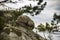 Big stone head in the rocks of Dovbush in Ukrainian Carpathian