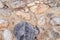 Big stone natural cement rock rough light texture background