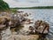 Big stone on river Corrib shore, county Galway, Ireland. Cloudy sky