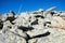 Big stones in Chopok peak, Low Tatras, Slovakia, hiking theme