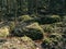 Big stones covered with green moss in German Schwarzwald