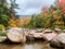 Big stones near a small lake in the forest of a Mount Willard, New Hampshire in autumn