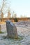 The big stones standing in the snow field in winter