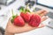 A big strawberry in young girl hands on office background in soft tone mood. Big red fruit in winter season sweet and sour taste