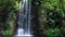 Big streaming water fall in a a tropical rainforest scenery, large tropical Gardens, nature background