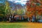 Big Suburban brick House among autumn trees. Large manicured lawn and landscaping