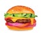 Big Tasty Burger with Meat, Cheese, Onion ,Tomatoes and Lettuce