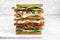 Big tasty sandwich with ham, salami, salad, cheese and tomatoes