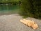 Big teddy bear lying on the shore of lake Wolfgangsee