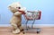 Big teddy bear pushing money in shopping cart