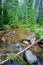 Big Tepee Creek in Wyoming