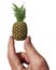 Big thumb and index finger holding a tiny pineapple fruit at fingertips  on white background. Close-up concept image