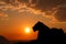 A big tiger silhouette. The tiger is resting and watching the environment. Beautiful sunset and orange sky in the background.