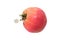 Big tomato on white background