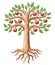 Big tree with apples. Color illustration. Traditional symbol in heraldry