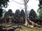 The big tree in Banteay Kdei temple
