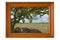 Big tree and field image in teak frame