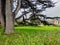 A big tree in the gardens of Ambroise castel. Chaumont Castel in Loire Valley, France