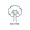 Big tree  line icon, vector. Big tree  outline sign, concept symbol, flat illustration