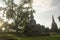 Big tree next to three Stupas in Wat Phra Si Sanphet in Ayutthaya, Thailand