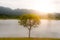 Big tree,river and mountain with sun light background