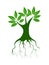 Big tree roots logo icon vector