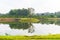 Big tree on still water pond with Water reflection