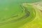 Big Ukrainian river Dnipro covered by cyanobacterias