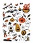 Big vector colorful set with Halloween elements, including pumpkins, mushrooms, sweets, skulls, bats, poison, ghosts.