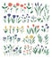 Big vector set of different flower elements. Garden decorative plants illustration. Collection of separate beautiful spring and