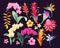 Big vector set of high detailed tropical flowers
