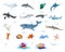 Big vector set with underwater inhabitants, marine fishes, mollusks, animals.