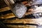 Big wasp nest in the attic of a country house close up