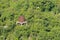 Big water tank abandoned in green forest