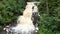 Big waterfall cascade fall in Jukankoski Russian Karelia. closeup aerial view