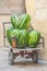 Big watermelons with pineapples in a cart in a street food market