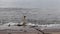 Big waves break on a concrete stone pier in the contaminated plastic in a storm on Lake Baikal in a big sea