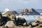 Big waves crashing on rocks coastline