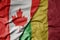 big waving realistic national colorful flag of canada and national flag of mali