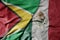 big waving realistic national colorful flag of guyana and national flag of mexico