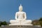 Big white buddha statue