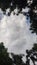 big white clouds with blue sky surrounded by dense leafy trees everywhere