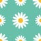 Big white daisy chamomile. Cute flower plant collection. Camomile icon Growing concept. Seamless Pattern Wrapping paper, textile t