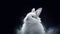 Big white fluffy rabbit full face on black background with smoke