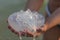 Big white jellyfish medusa in woman\'s hands