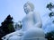 Big White Meditating Buddha Statue Bottom Side View In The Front Of The Garden Yard Of Buddhist Temple